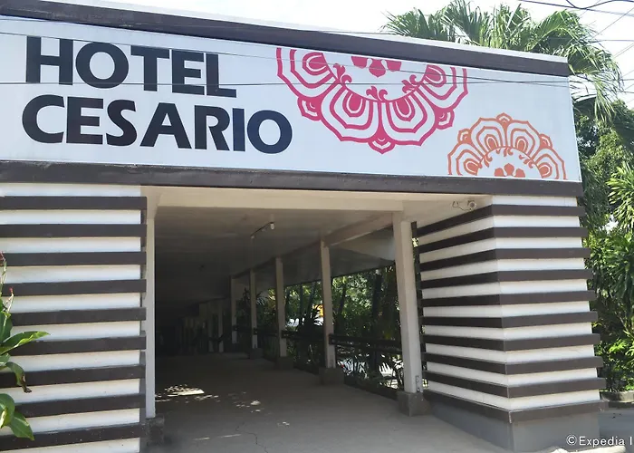 ホテル Cesario マクタン